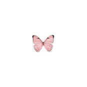 Sofia Rozell's photo