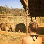 Louise New's photo