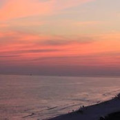 Cynthia Harris's photo