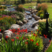 Pond