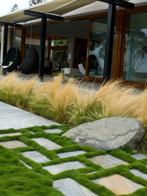 Grass Between Pavers Ideas, Pictures, Remodel and Decor
