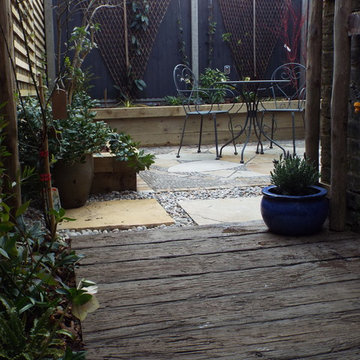 The Daisy Garden