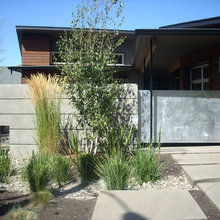 Landscape Ideas