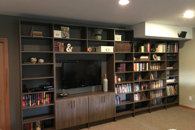 Entertainment Center/ Bookshelf