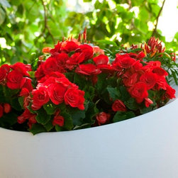Uovo di Colombo Outdoor Planters by Serralunga - Outdoor Pots And Planters