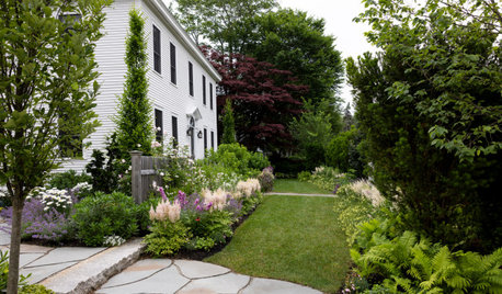 Maine Front Yard Blooms With Exuberant Color All Summer Long