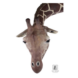 Gracie the Giraffe Sculpture - Sculptures