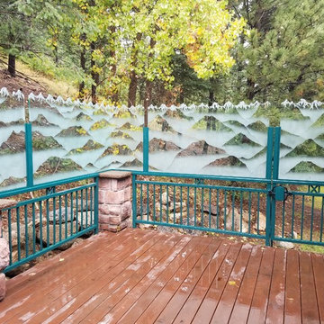 Deck w/ Glass Railing