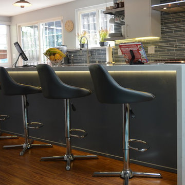 Modern Kitchen Remodel