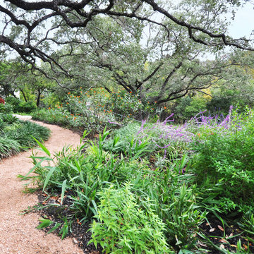 Hill Country Planting