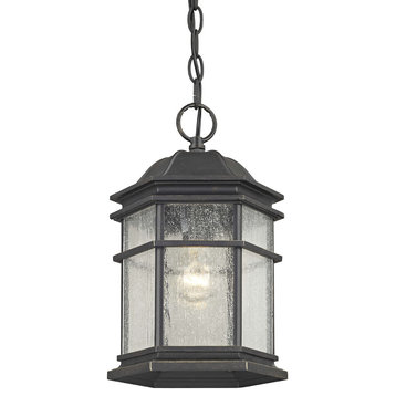 Dolan Designs 9232-68 Barlow - One Light Outdoor Hanging Lantern