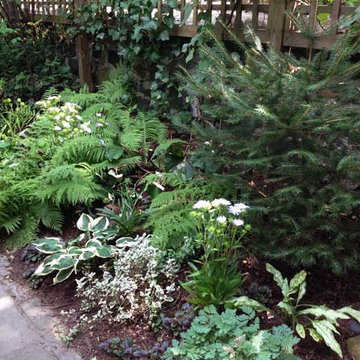 Fort Greene Gardens