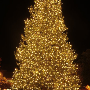 Residential Christmas Decor