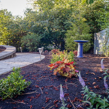 Mid-Century Backyard