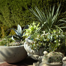 Garden Pots