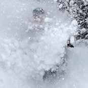 Foto von Steve D