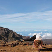 Jessica Nelson's photo