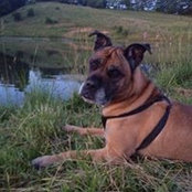 Blythe Petrella's photo