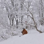 Junji Ogawa's photo