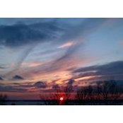 Tab Anderson's photo
