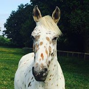 Becca Galbraith's photo