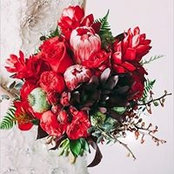 Của Hoa Vẻ Đẹp's photo