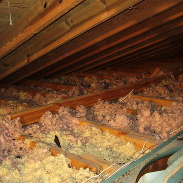 VENICE - ATTIC INSULATION REMOVAL AND REPLACEMENT
