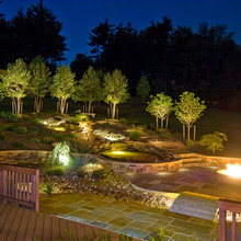 outdoor landscape