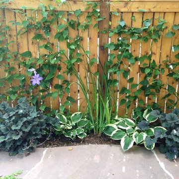 Modern relaxed garden