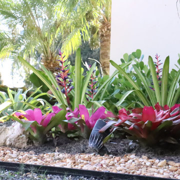Tropical appeal for equestrian farm entrance