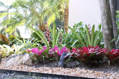 This is an example of a mid-sized tropical landscaping in Miami.