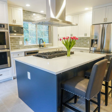 Modern White Kitchen with Grey Accent