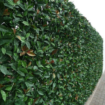 Ranka Lasting Greenery