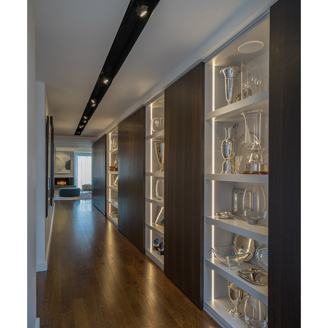 Modern display cases