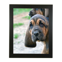 Frames