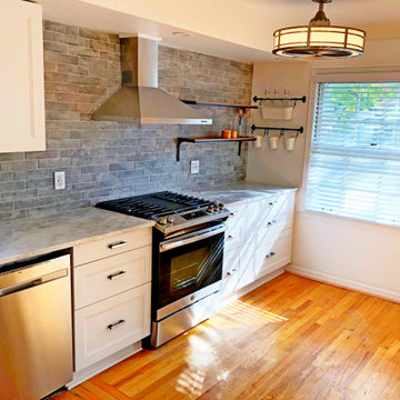 Ferndale Kitchen Remodel