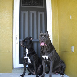 Hurricane-Security Screen - Window Treatments
