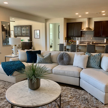 New Home In Alorvita- Peoria, AZ