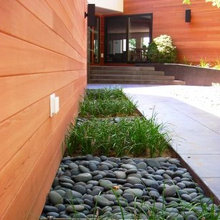 Side Yard