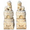 Chinese Pair White Marble Stone Fengshui Foo Dogs Statues Hcs6970