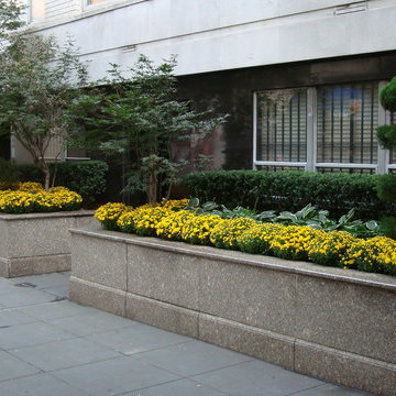 Upper East Side Coop Streetscape