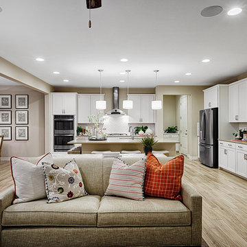Coronado model home in Arizona