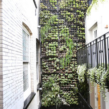 121 Gardening