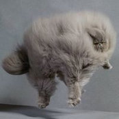Alessandra Pavesi's photo