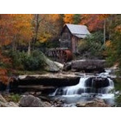 Michelle Nichols Kozak's photo