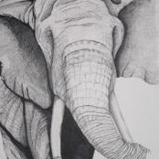 Joanne Bulsara's photo