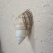 Sheldon Jaggernauth's photo