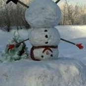 Barb Donohue's photo