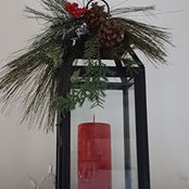 Dedra Lincoln's photo