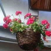 Foto von Edna Korir